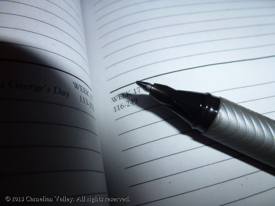 A photograph of an open diary with a pen on it