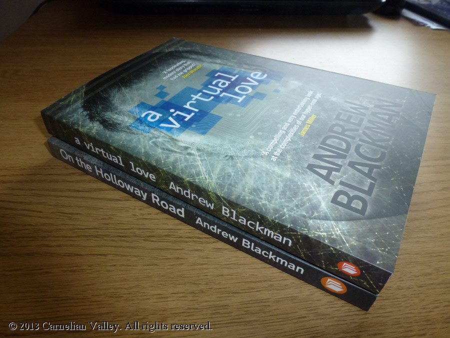 A photo of a copy of A Virtual Love and On The Holloway Road, Andrew Blackman's two books