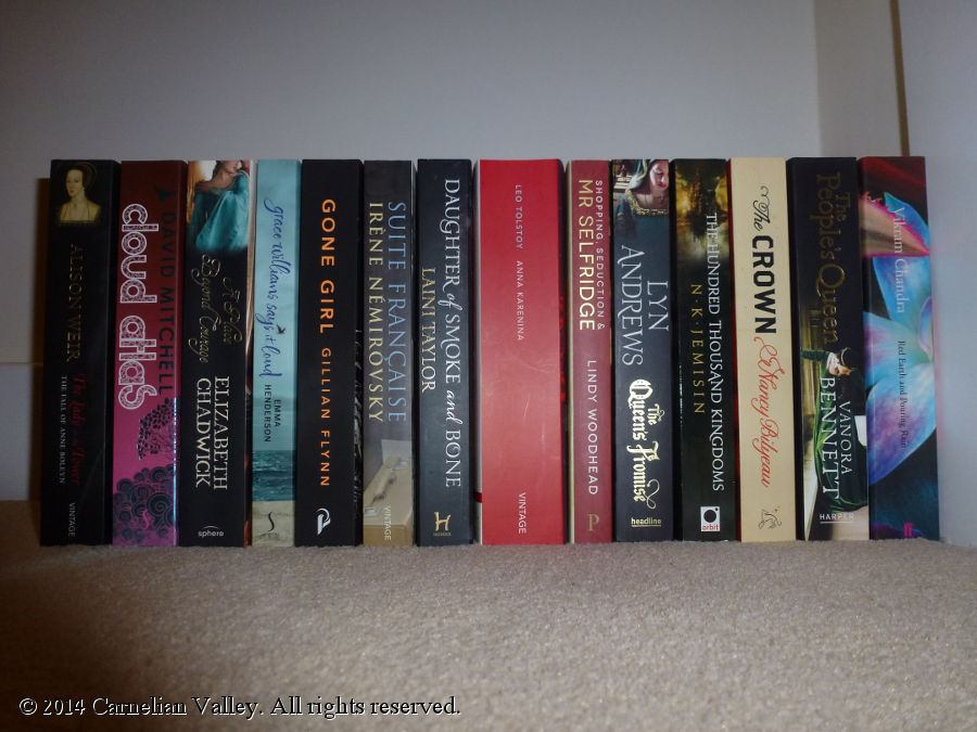 A photograph of last year's TBR featuring 14 books
