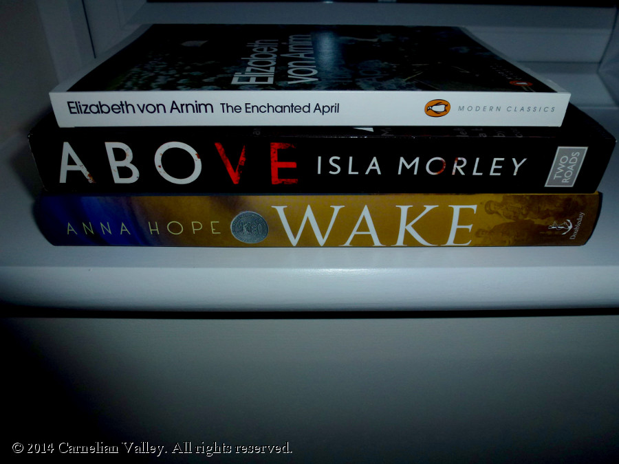 My readathon choices: Elizabeth von Arnim's The Enchanted April, Isla Morley's Above, and Anna Hope's Wake