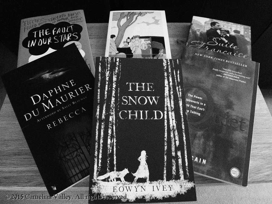 A photograph of six books: Rebecca, The Snow Child, Quiet, The Fault In Our Stars, The Great Gatsby, and Suite Francaise