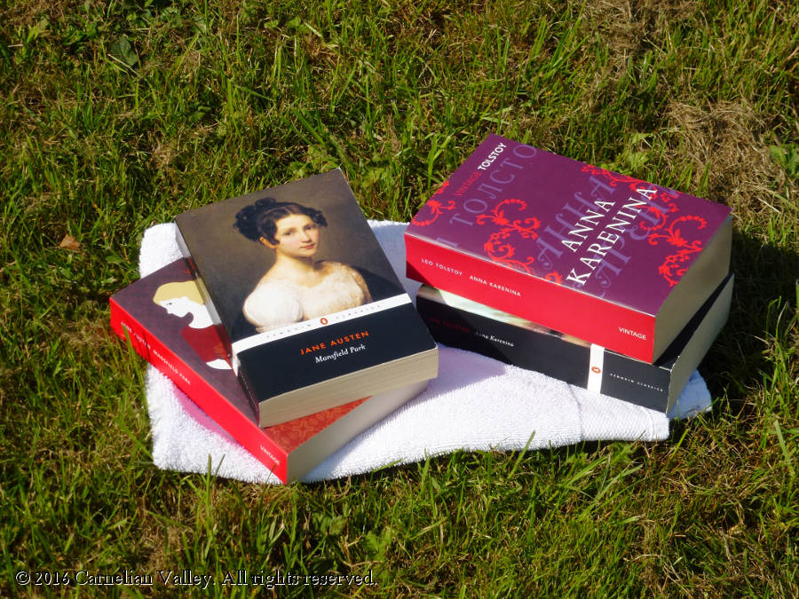 A photograph of different copies of Jane Austen's Mansfield Park and Leo Tolstoy's Anna Karenina