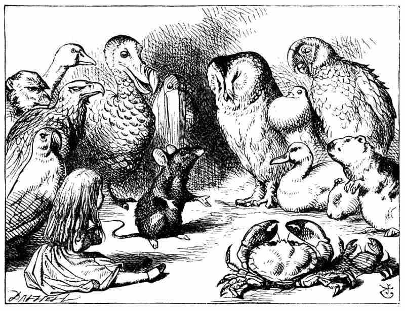 An illustration by John Tenniel from the original edition of the book, it shows, in black and white, Alice sat down in a circle of small animals and birds - Alice is smaller than them