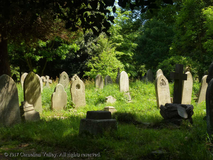 A photograph of tombstones at Southampton Old Cemetery