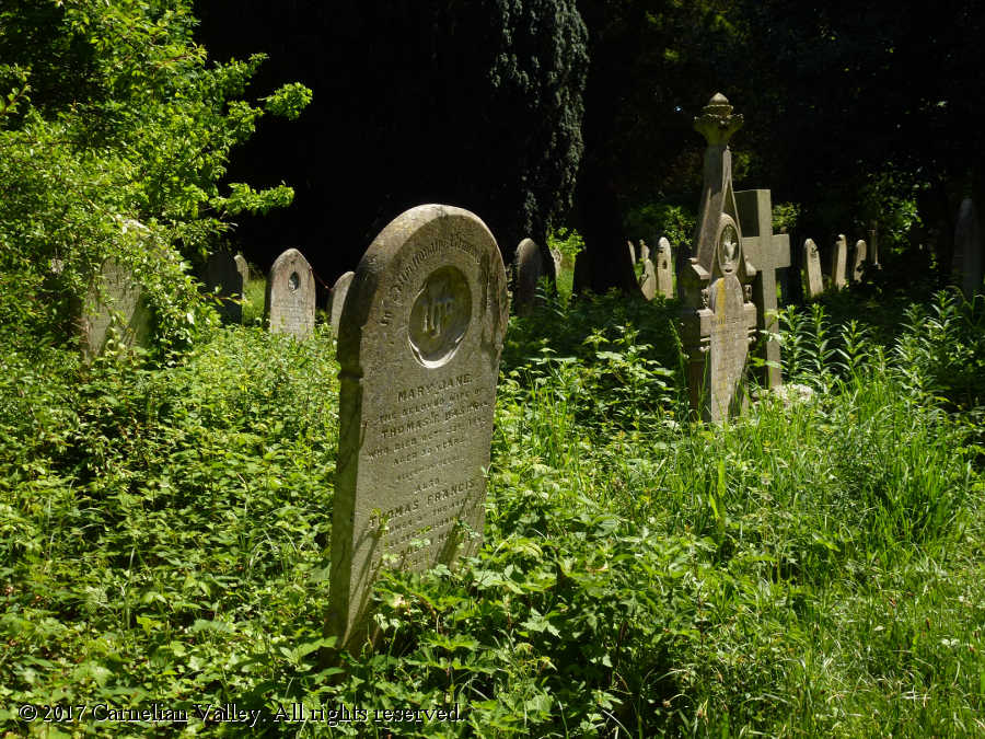 A photograph of tombstones at Southampton Old Cemetery