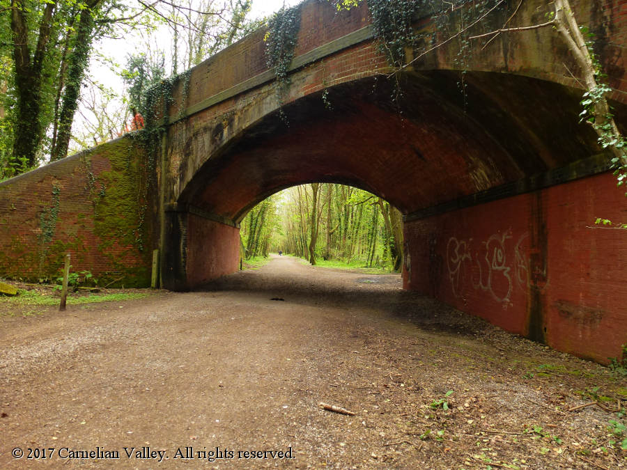A photograph of the Forest of Bere, an old railway bridge, graffiti on the underside of it