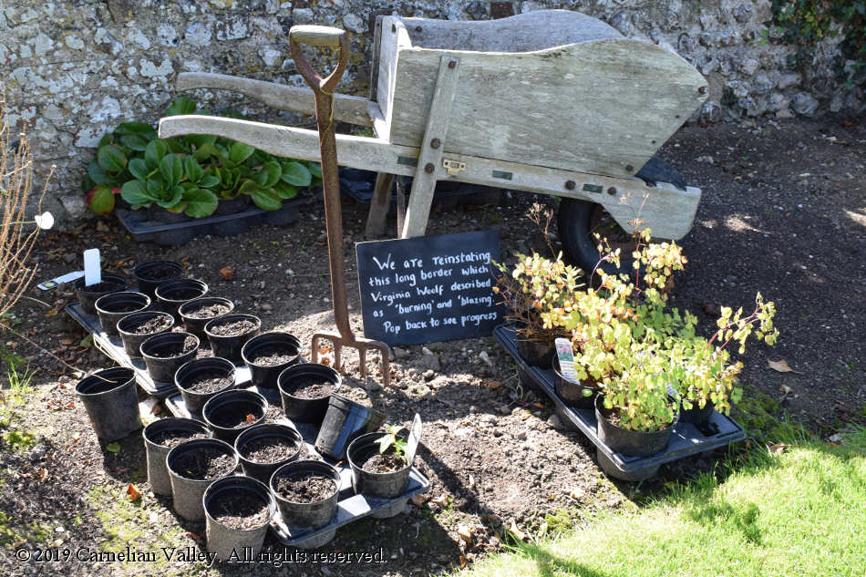 A photograph of an in-progress flower border. There's a wooden wheelbarrow and seedlings in pots as well as a piece of slate which reads, in chalk, 'We are reinstating this long border which Virginia Woolf described as burning and blazing. Pop back to see progress