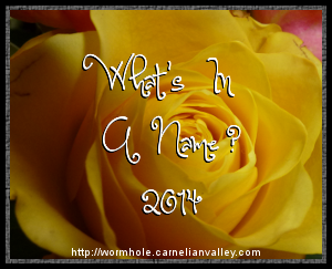 The 2014 What's In A Name reading challenge logo